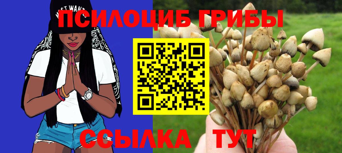 Галлюциногенные грибы Psilocybine cubensis  Псилоцибиновые грибы прущие грибы  Вход с VPN  Чехов 